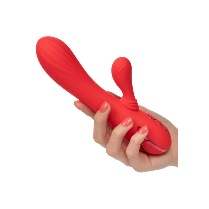 Calexotics – Palisades Leidenschaft Rot
