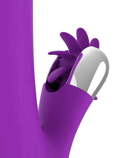 Fun Function – Bunny Funny Rotation 2.0