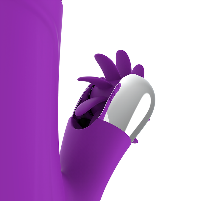Fun Function – Bunny Funny Auf & Ab 2.0