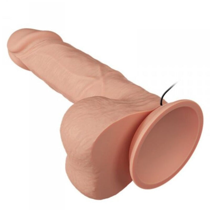 Baile – Beautiful Encounter Bahamut Vibration 21.8 Cm Natural