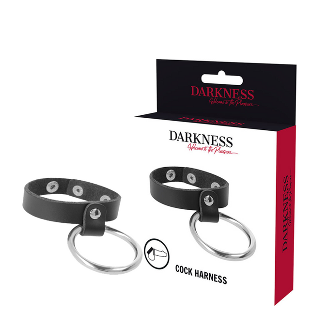 Darkness – Metallring für Penis und Hoden