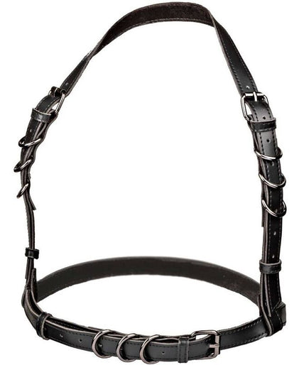 Calexotics – Euphoria Halter Bügel Harness Schwarz