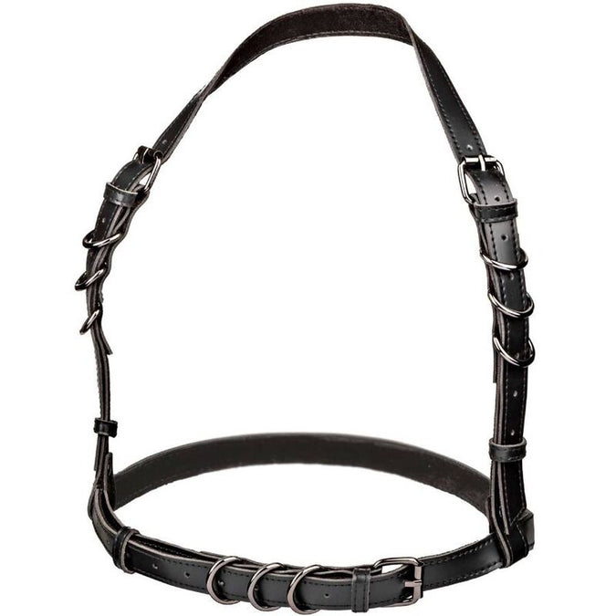 Calexotics – Euphoria Halter Bügel Harness Schwarz