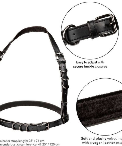Calexotics – Euphoria Plus Size Halter Bügel Harness Schwarz