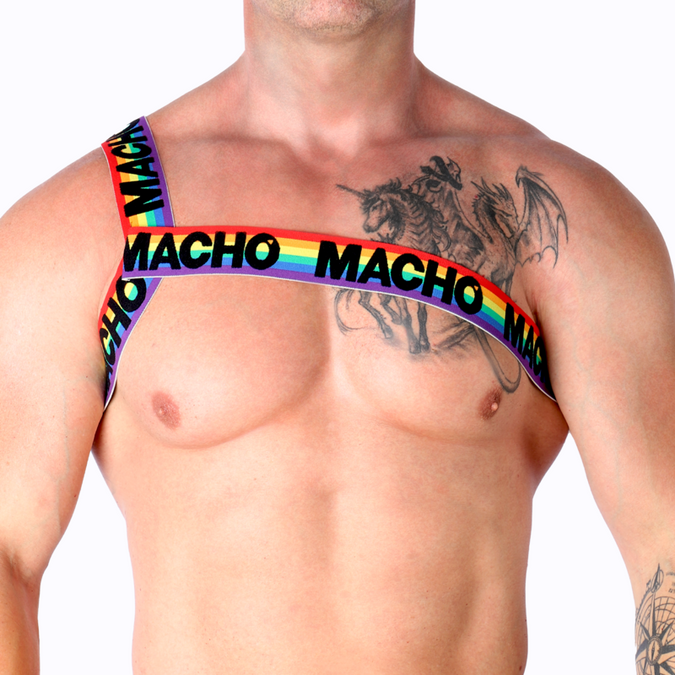 Macho – Römisches Geschirr Pride S/M