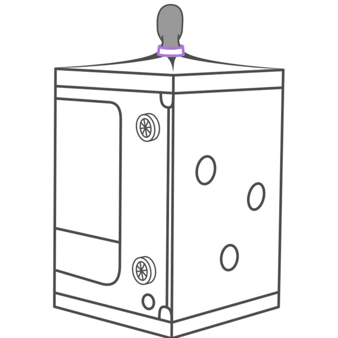 Secret Dome – Kink Club Cabin Scandale Purple