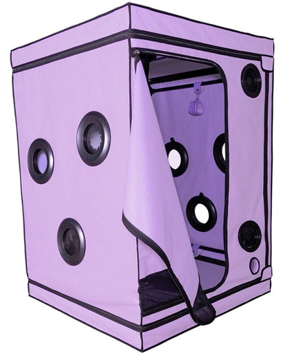 Secret Dome – Kink Club Cabin Scandale Purple