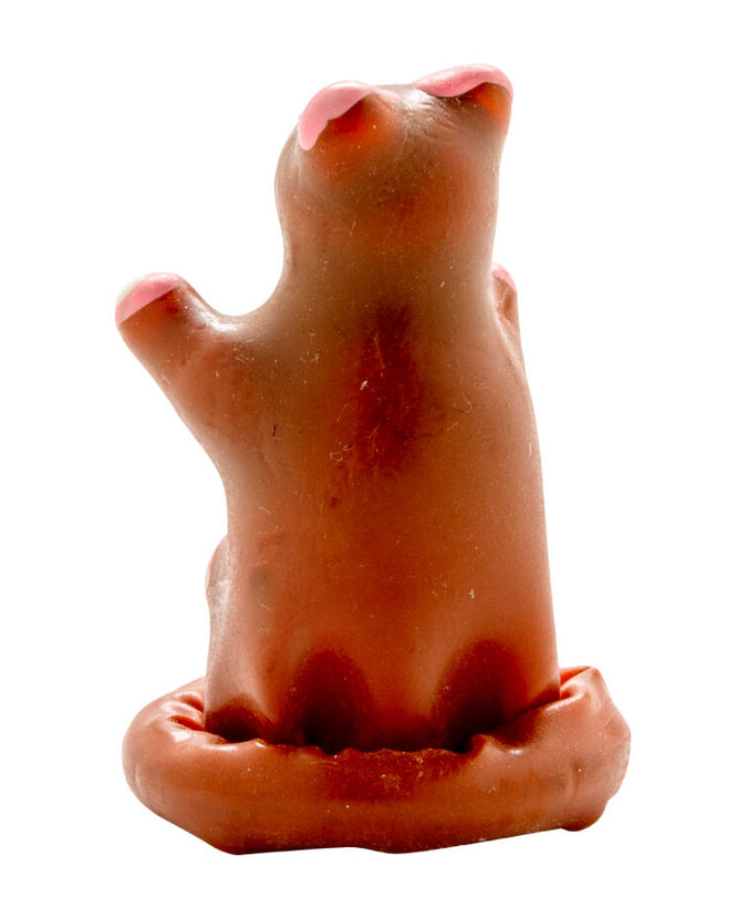 Condomerie – Handpainted Novelty Condoms Teddy Bear