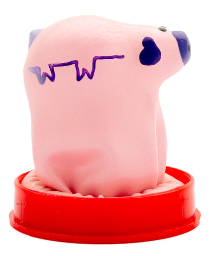 Condomerie – Handpainted Novelty Condoms Small Pig