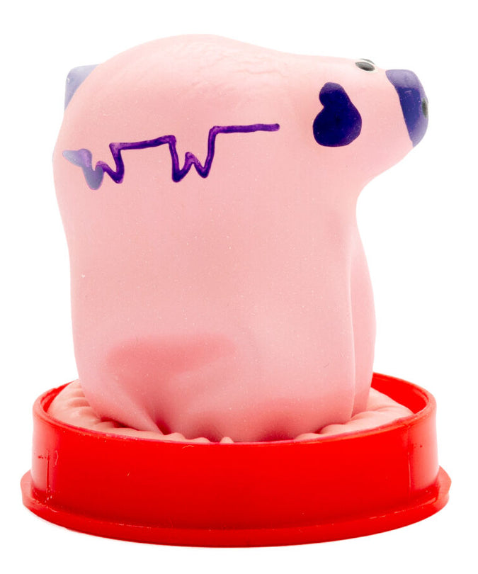 Condomerie – Handpainted Novelty Condoms Small Pig