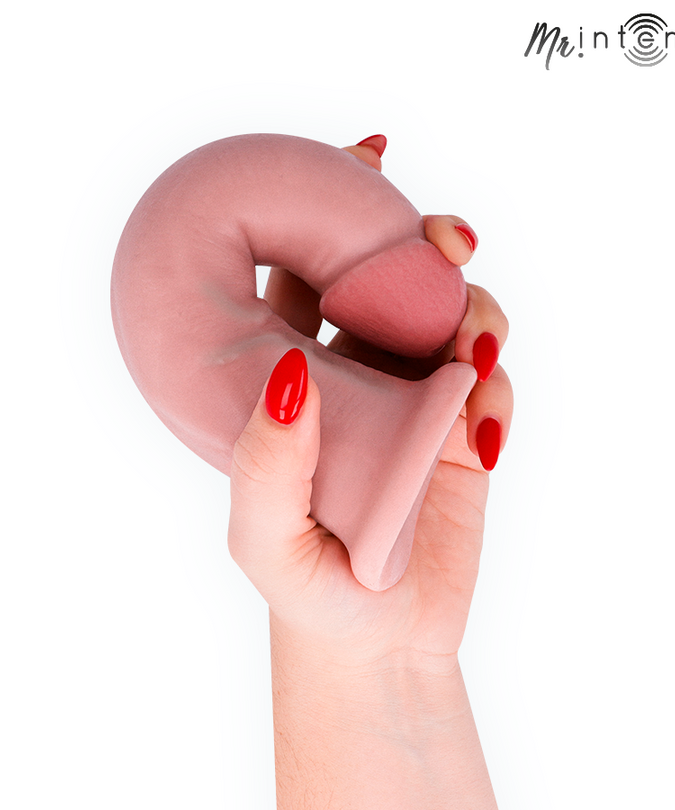 Mr Intense – Mittlerer Terence Dildo 20 cm – Ø – 5 cm