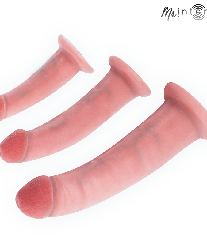 Mr Intense – Mittlerer Terence Dildo 20 cm – Ø – 5 cm
