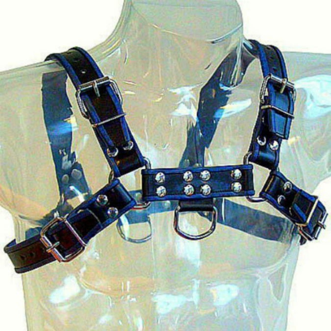Leather Body – Blue And Black Leather Harness Chest Bulldog