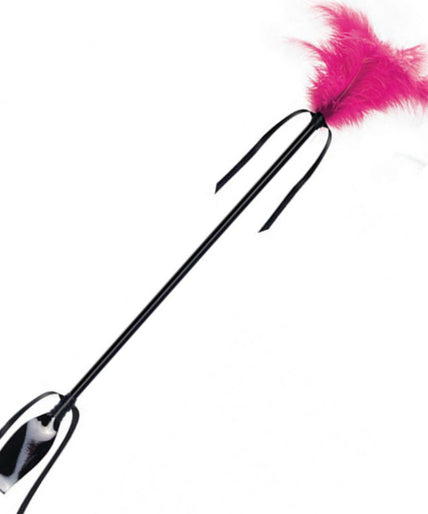 Secretplay – Black and Fuchsia Whip & Feather