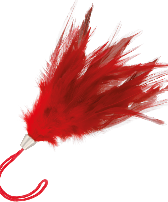 Darkness – Red Stimulating Pen 17 Cm