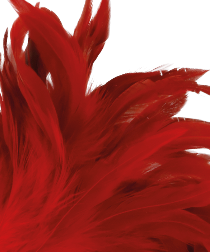 Darkness – Red Stimulating Pen 24 Cm
