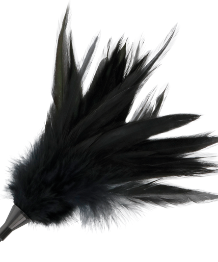 Darkness – Schwarze Federpeitsche