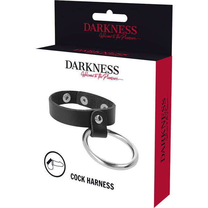 Darkness – Metallring für Penis und Hoden